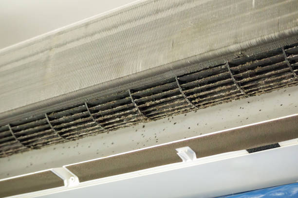Best Air Duct Cleaning Near Me  in Byrnes Mill, MO